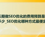 长期做SEO优化的费用预算是多少_SEO优化哪种方式最便宜