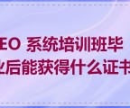 SEO 系统培训班毕业后能获得什么证书