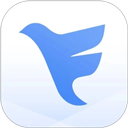 飞鸽互联app官网